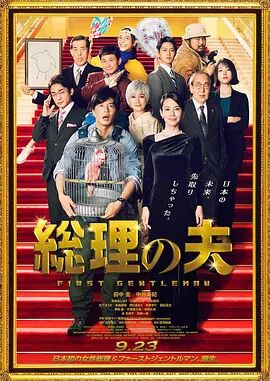 手机免费播放