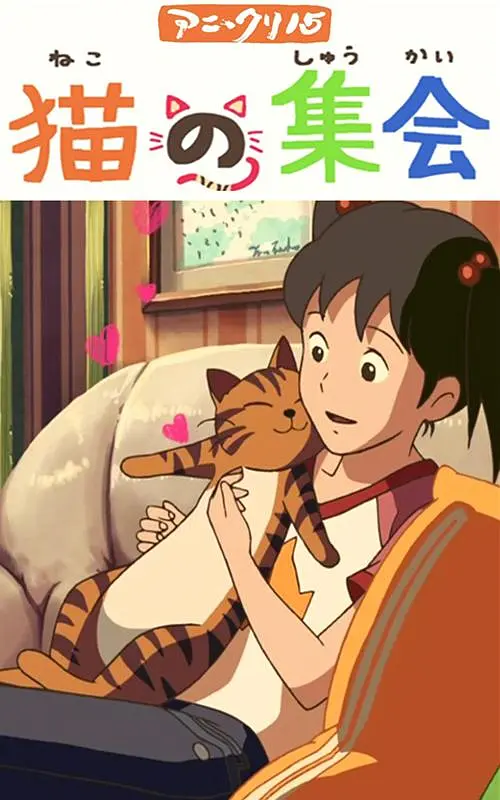 1080HD手机在线观看