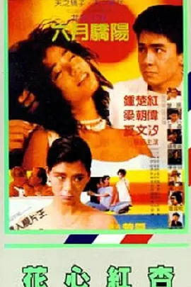 蓝光原盘