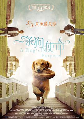 BD国语高清完整版
