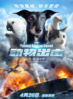 完结高清影视