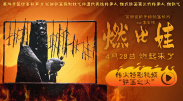 高清蓝光在线观看