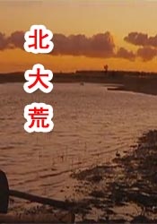 蓝光手机在线看