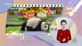 HD免费在线播放